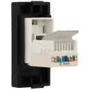 A-CAT6-B Anschlussfeld für cat6