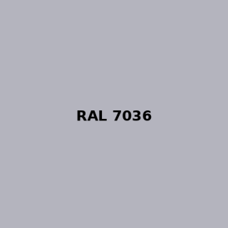 Wert #80