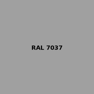 Wert #81